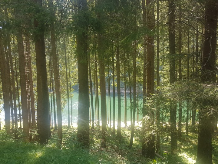 vidraru lake