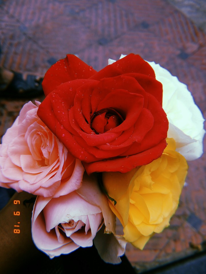 beautiful