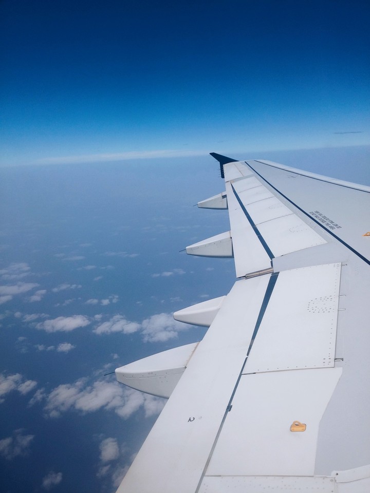 Sky High