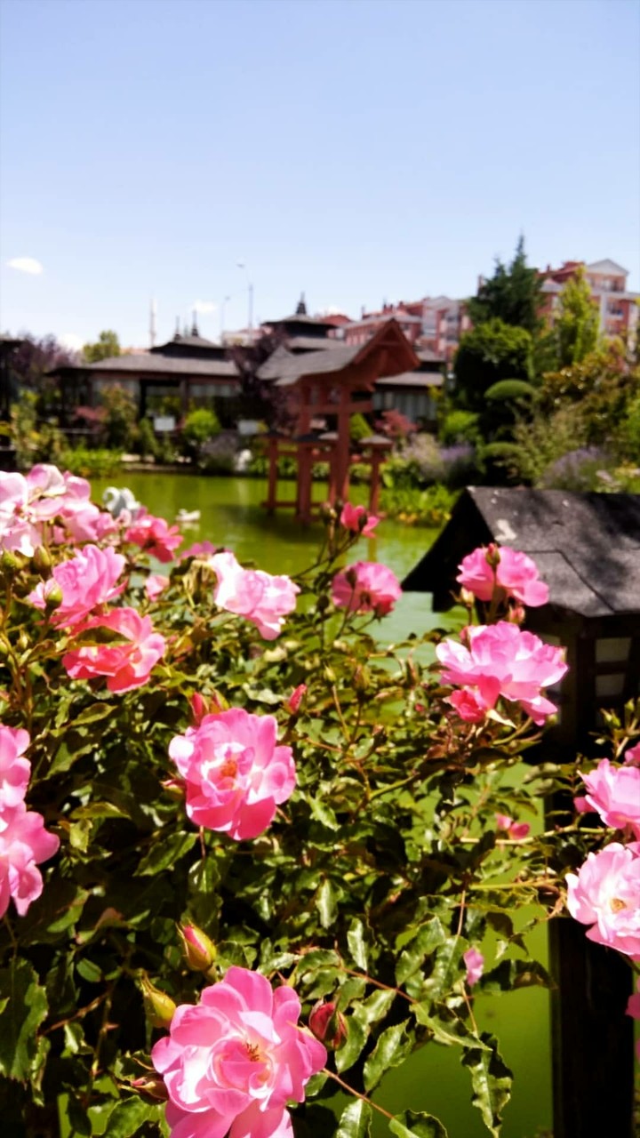 konya japon parkı