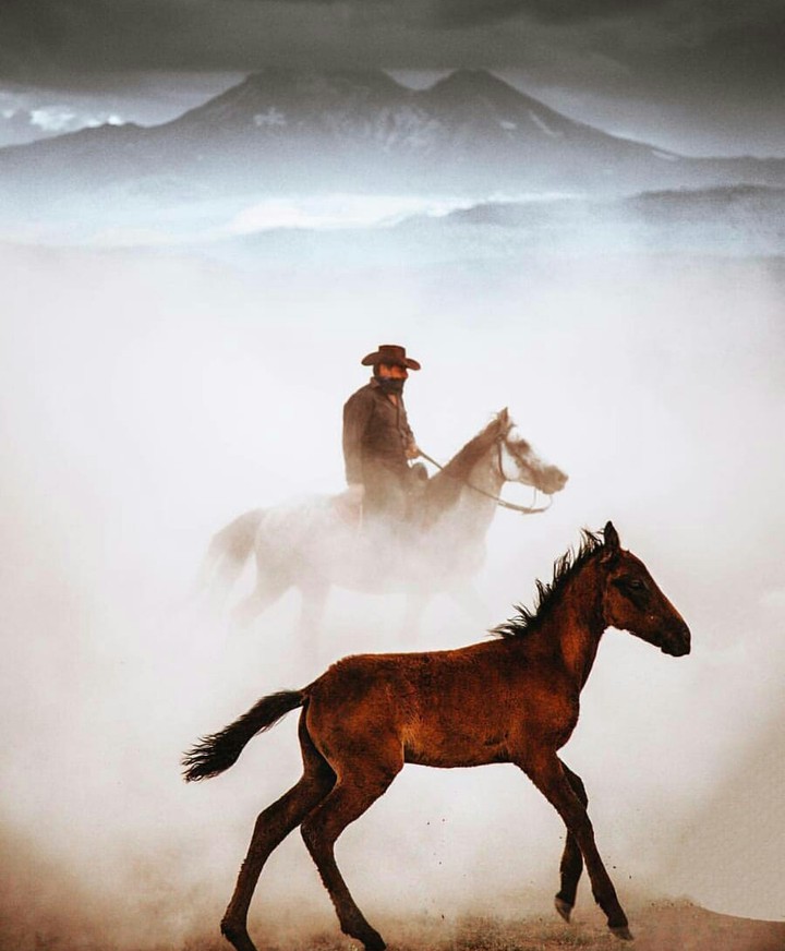 horseman
