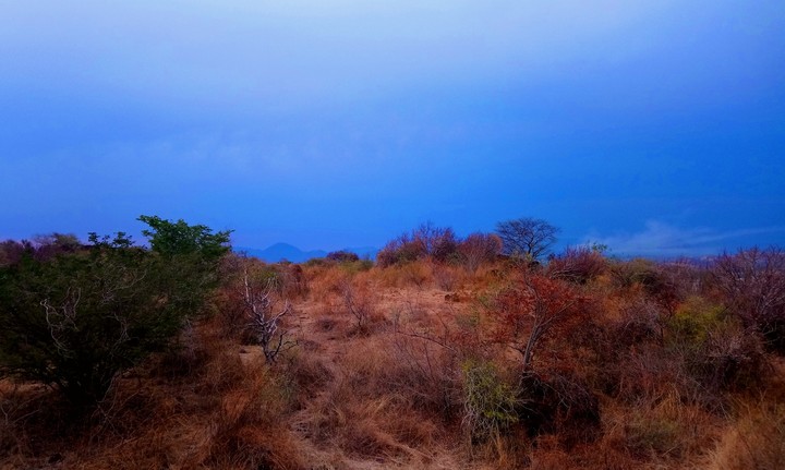 LA TUMBA, CERRO DE SAN LORENZO, GRO.