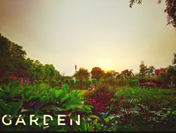 #GARDEN