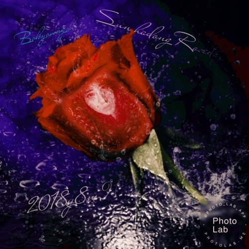 Rose Flower day