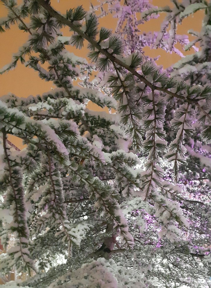 Snow2