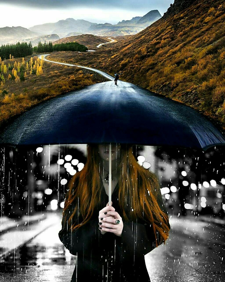 umbrella
