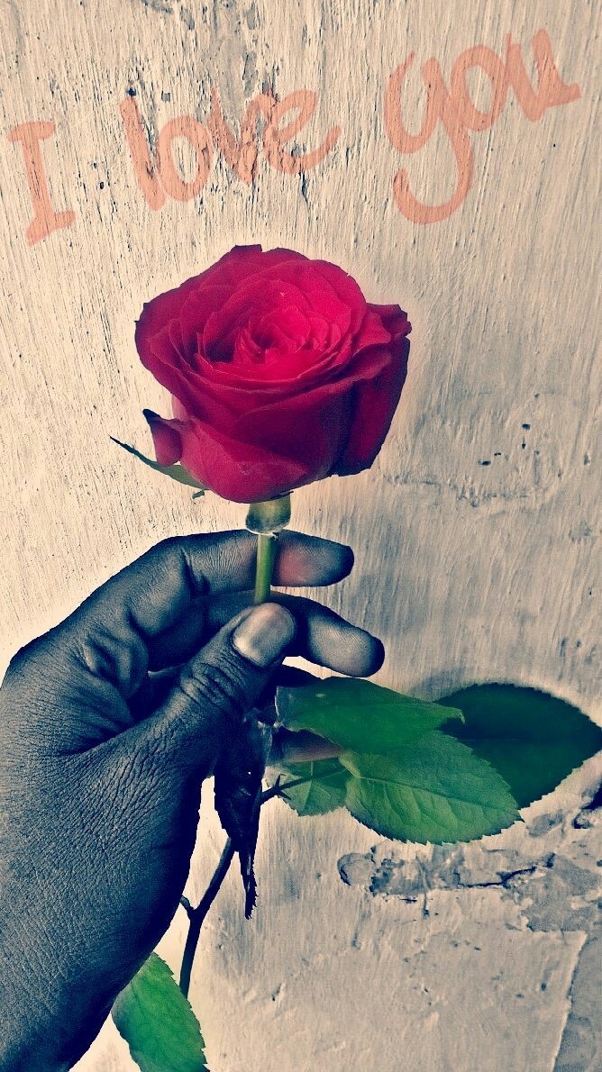 Love