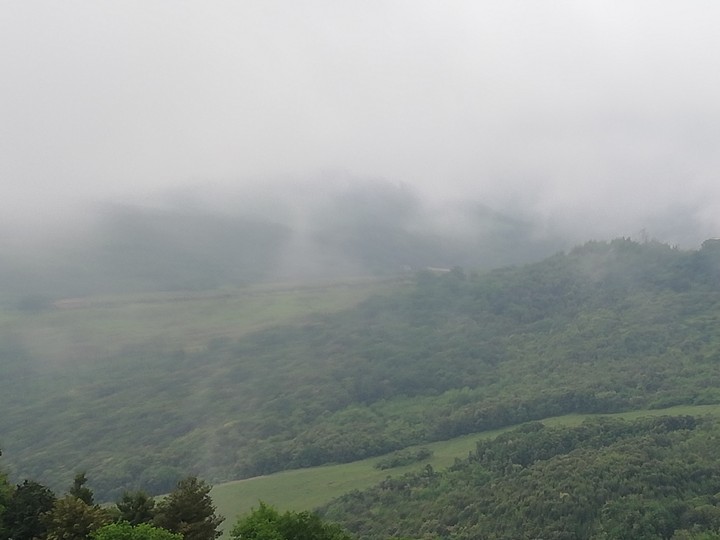 nebbia..