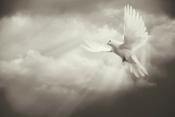 parret