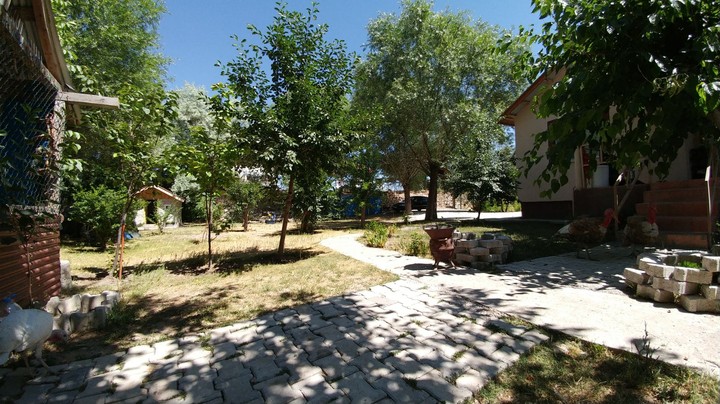 Kangal T.Mehmet