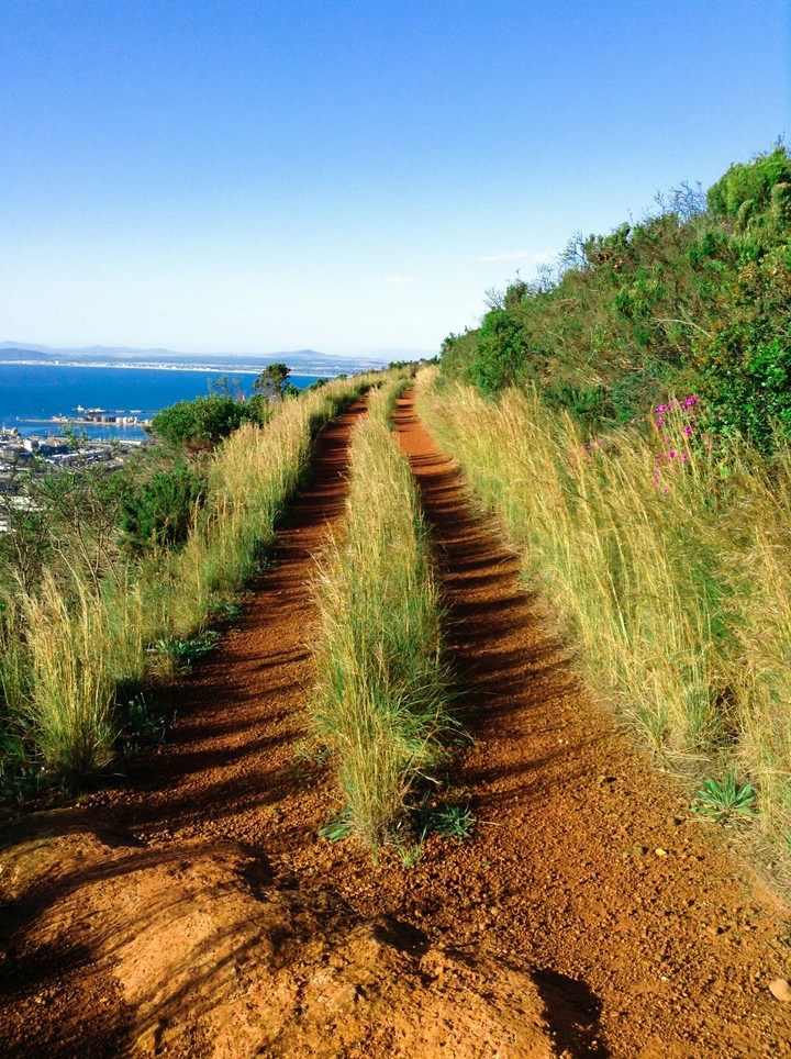 Path