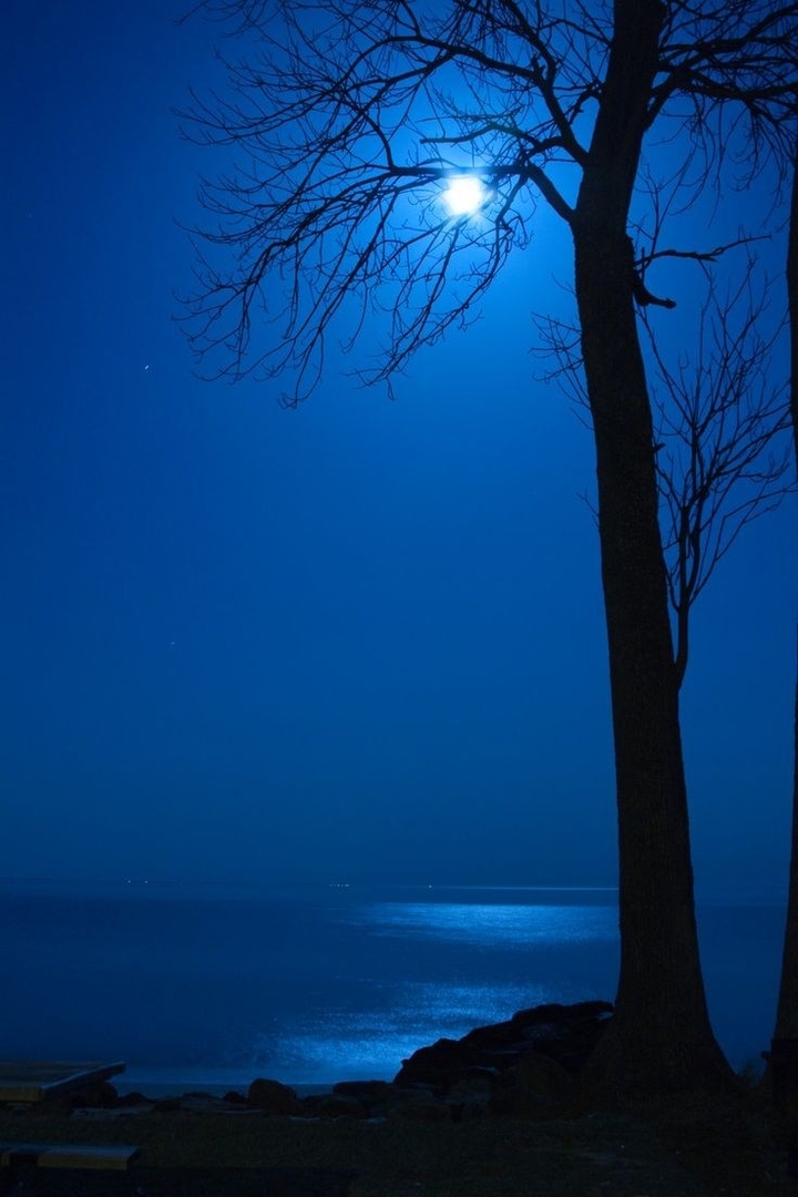 gece sahilde