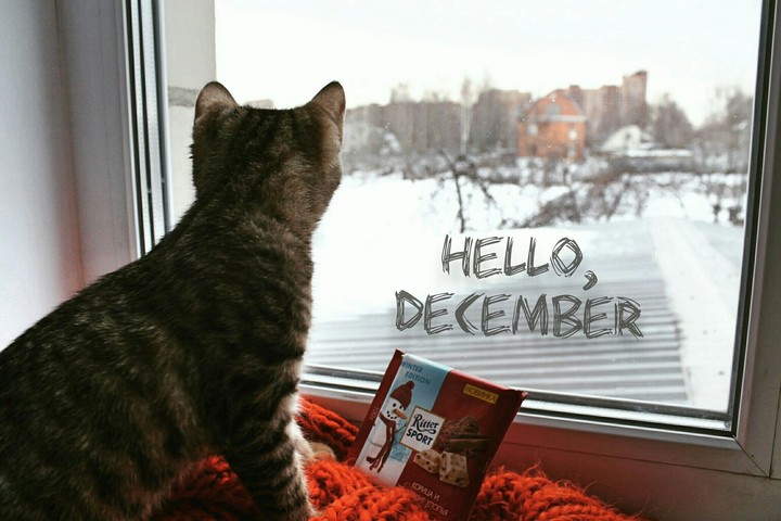 hello, Winter