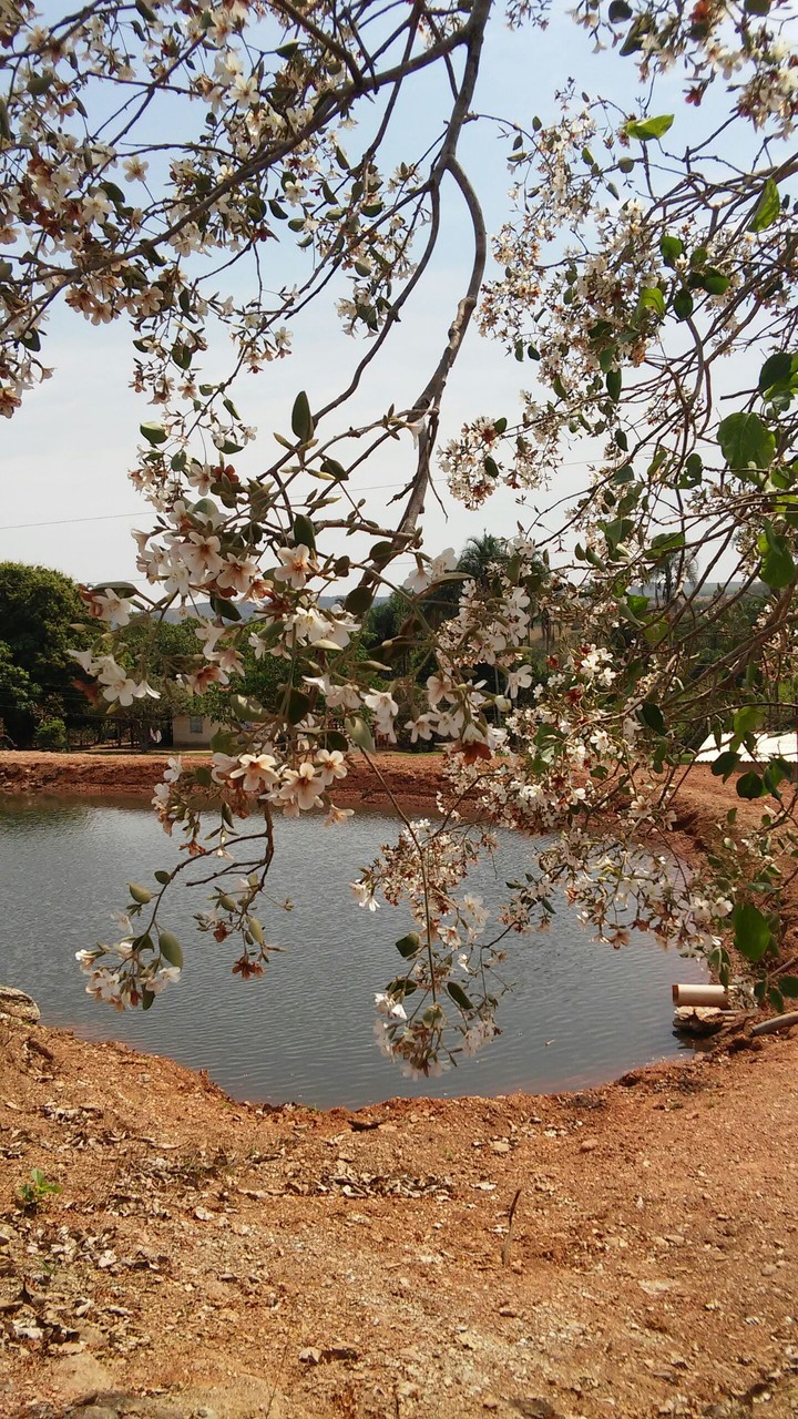 natureza