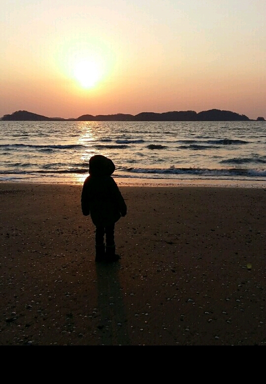 태양