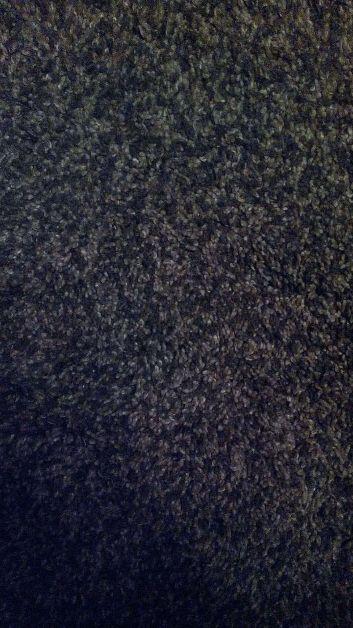 Carpet