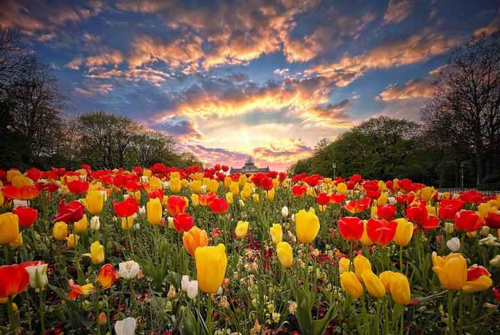 Spring evening