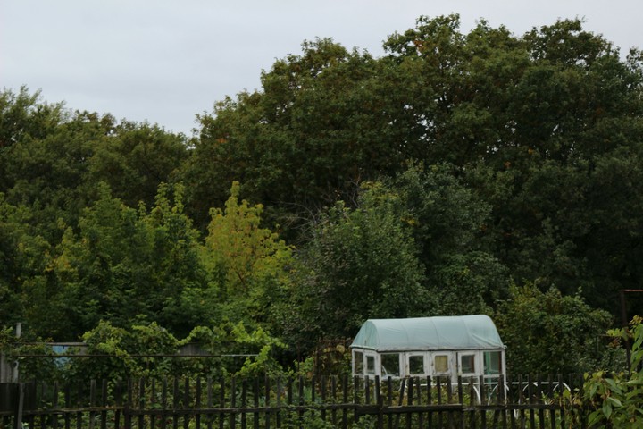 осень
