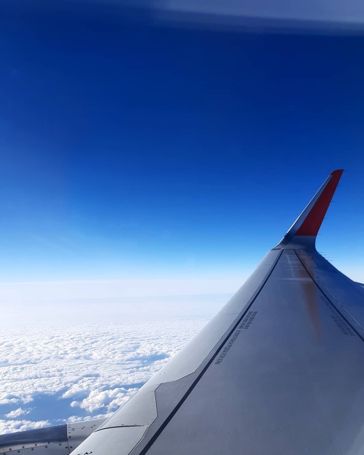 flight