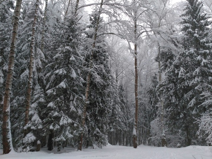 снег