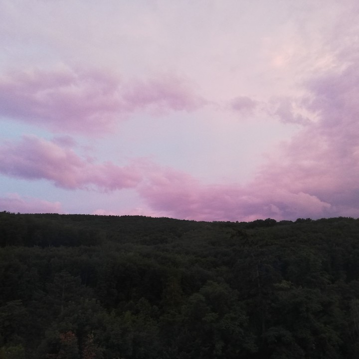 pink clouds