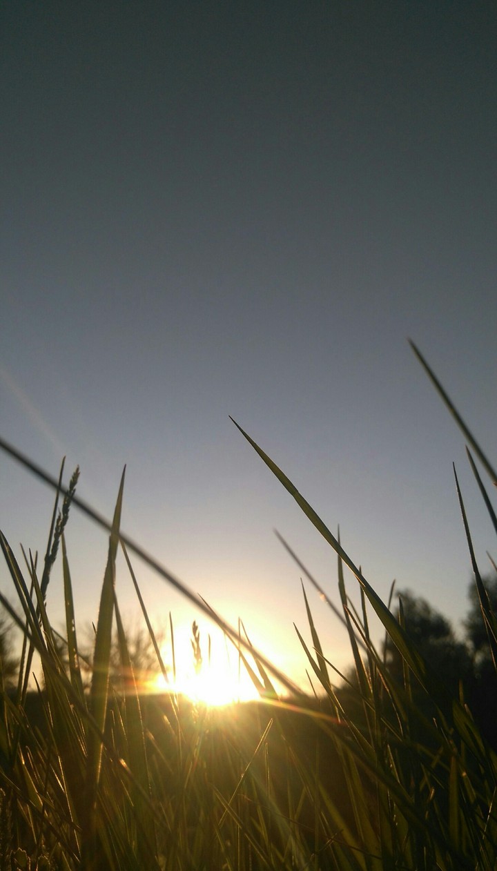 sun