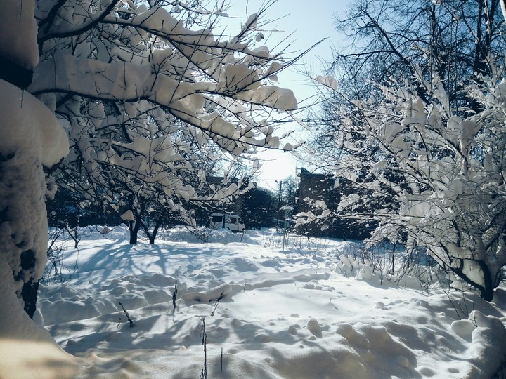 Зима