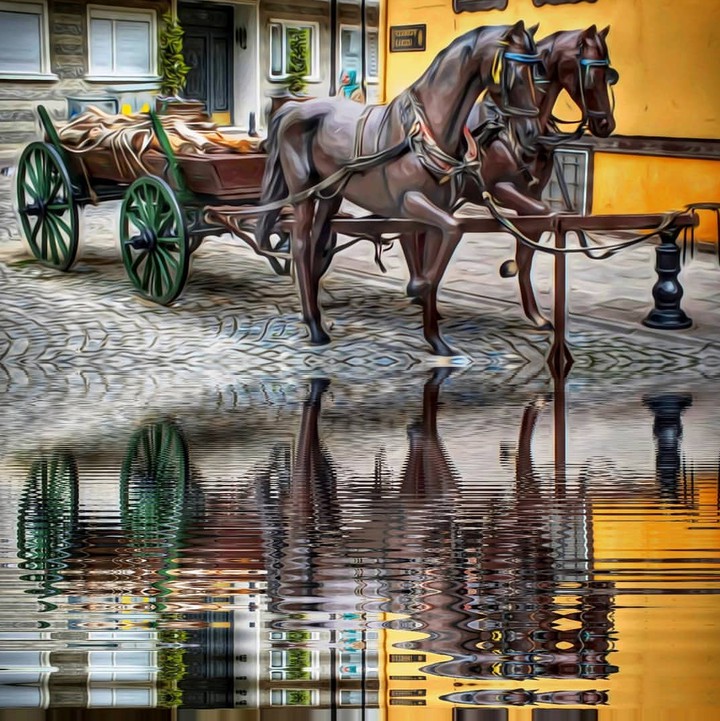 Reflection