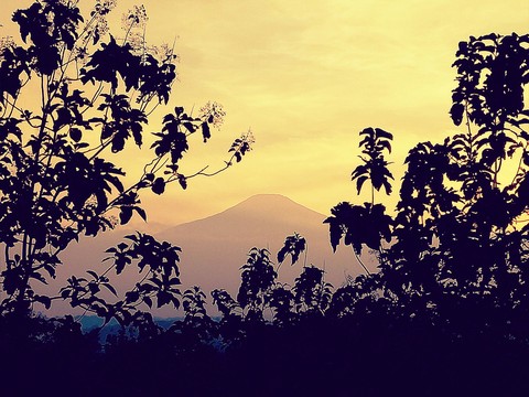 Morning Day