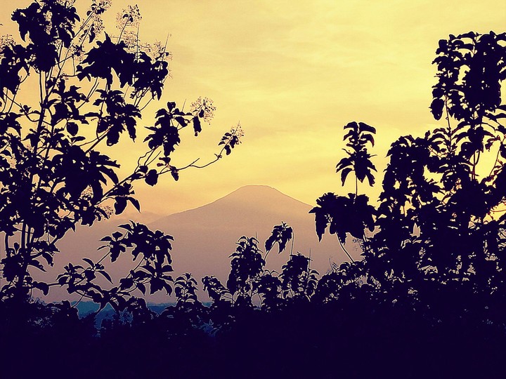 Morning Day