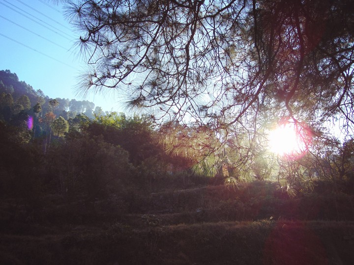 Nature