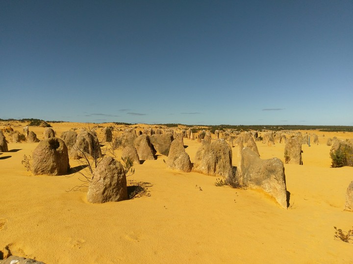 desert dreams