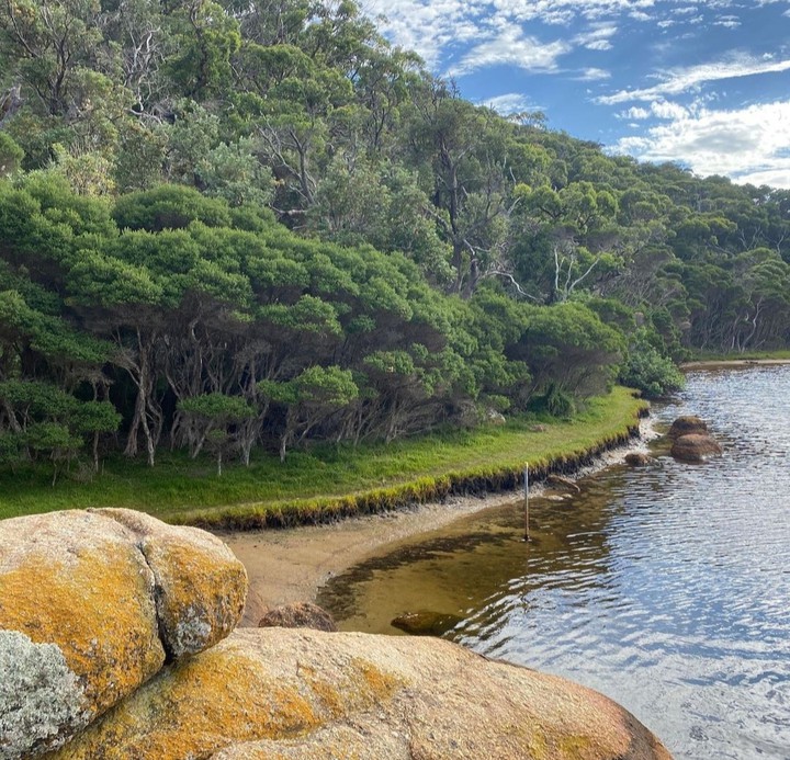 tidal river - Australia