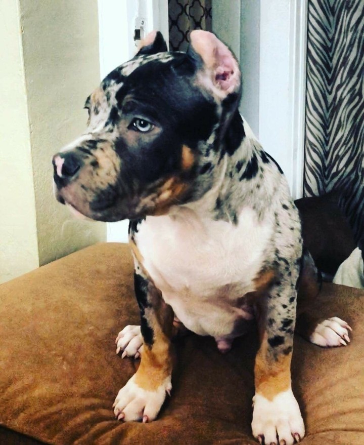 ♥️♥️♥️