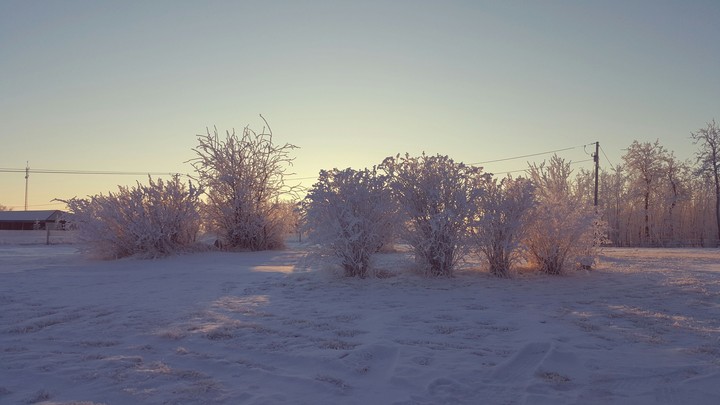 winter