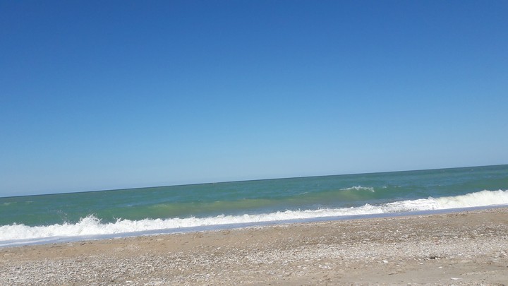 Seaside Waves
