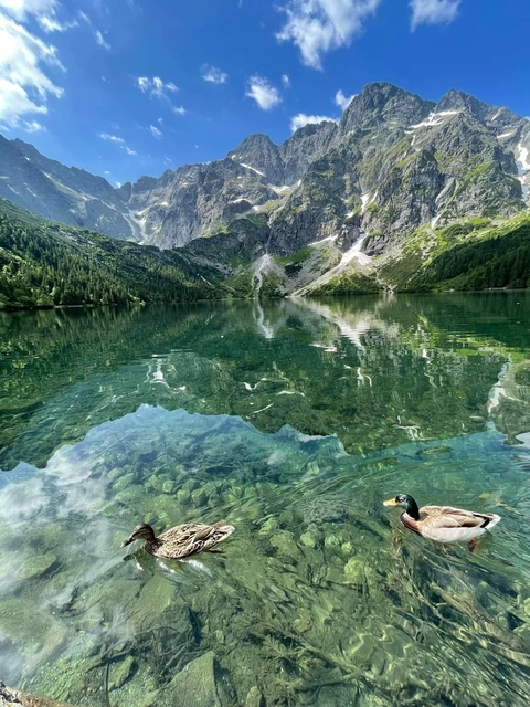 sfondi lake, mountain