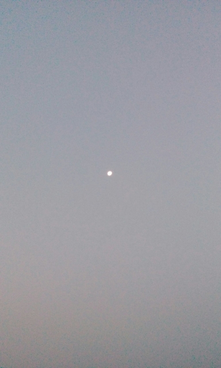 Moon in the morning.