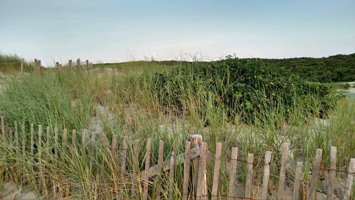 Sandy Way