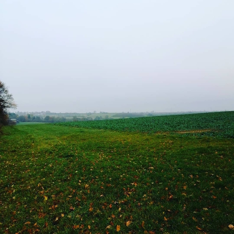 Natur