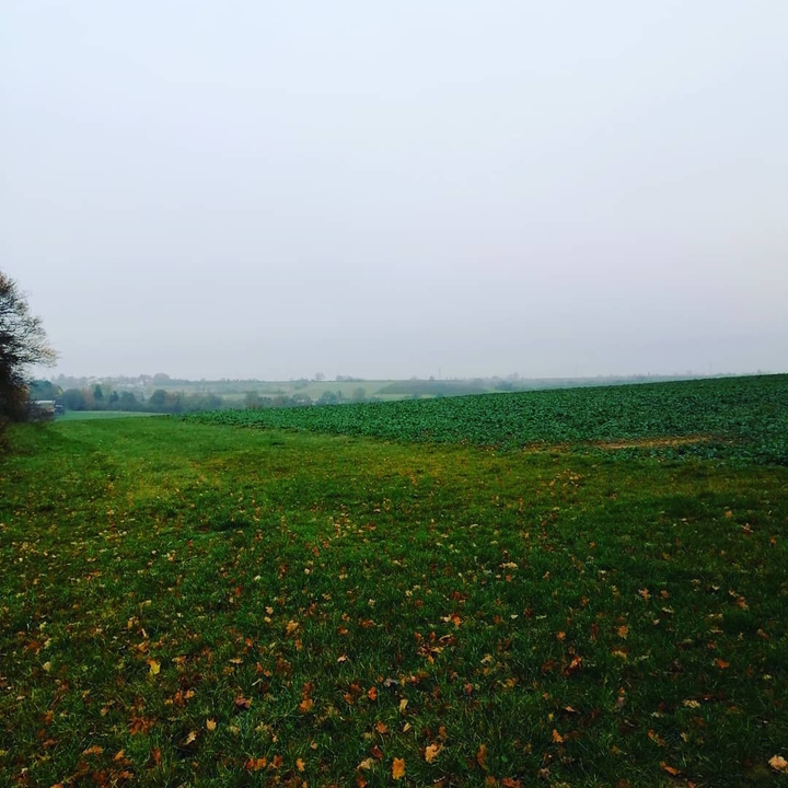 Natur