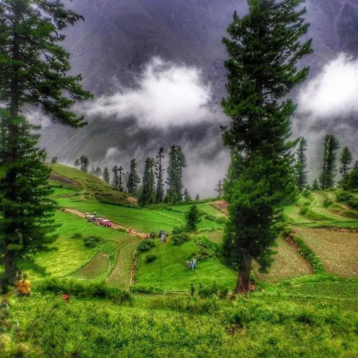 pakistan