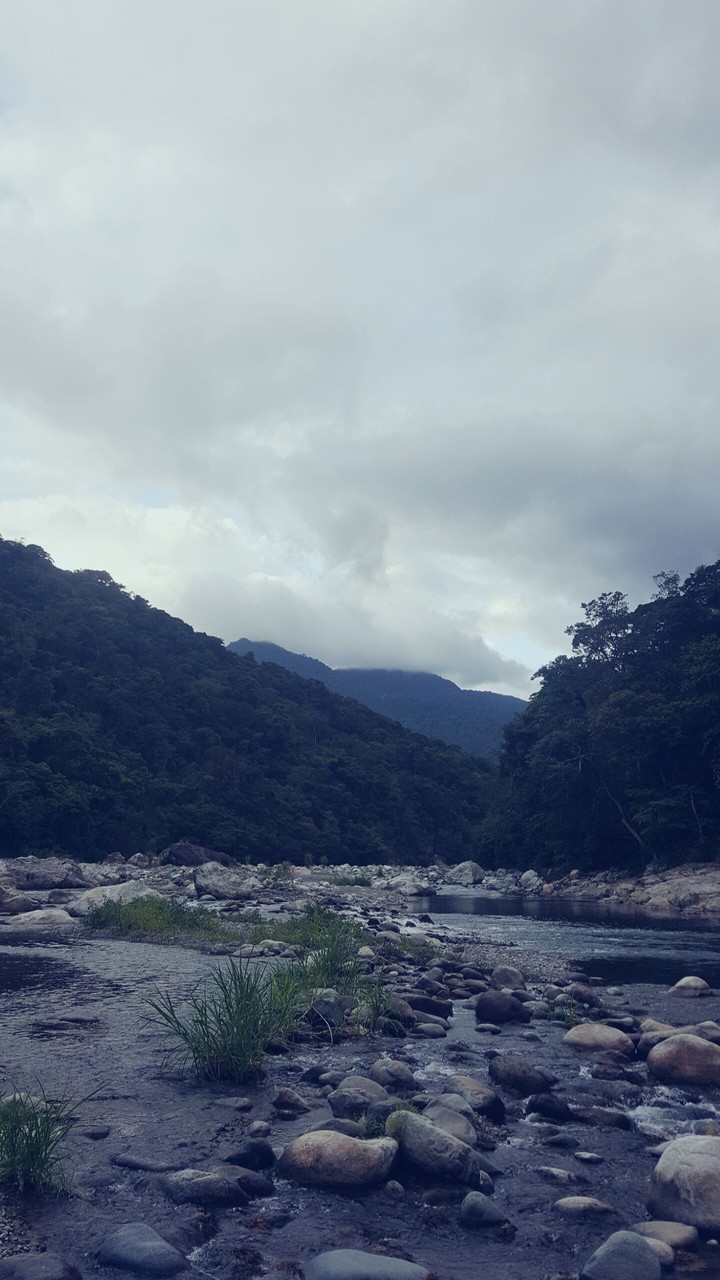 Ceiba-HONDURAS