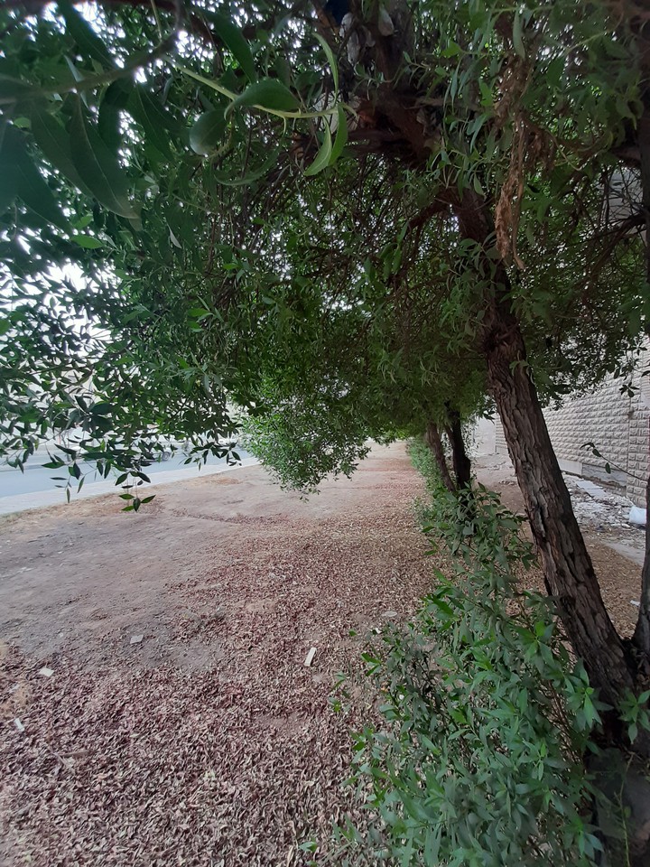 iran.ahvaz