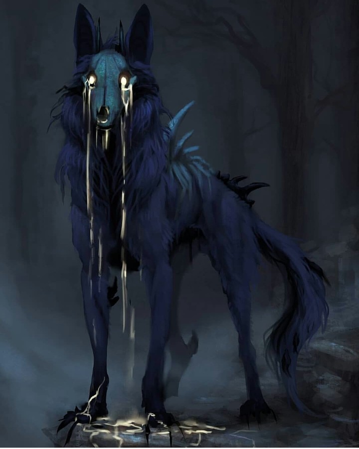 Wolf