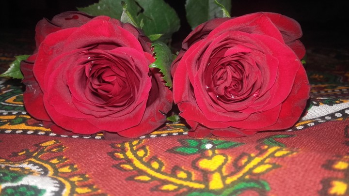 rose