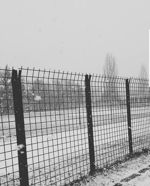 snow