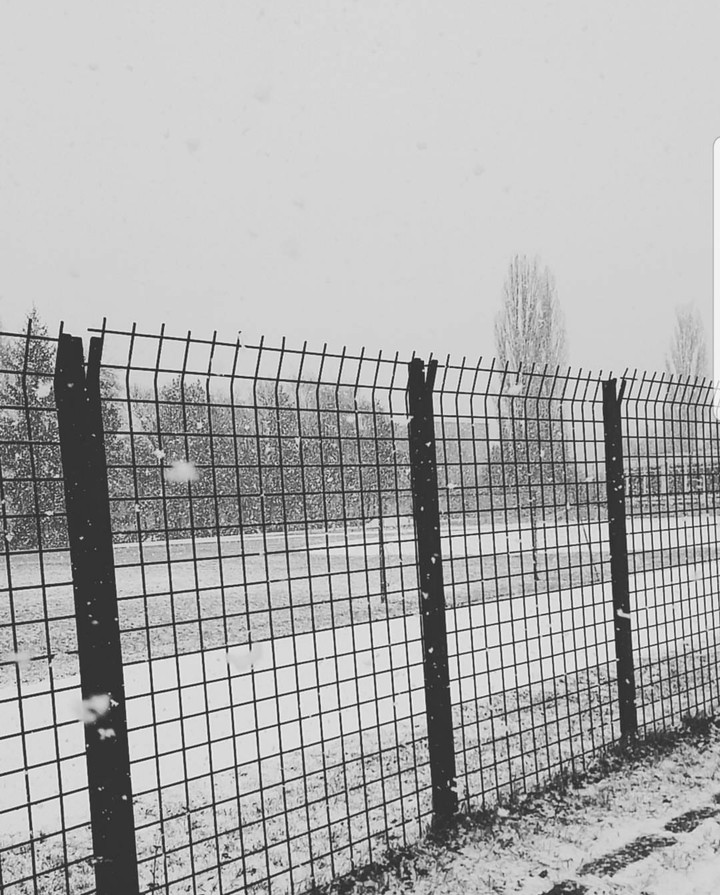 snow