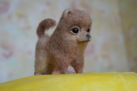 Little toy dog