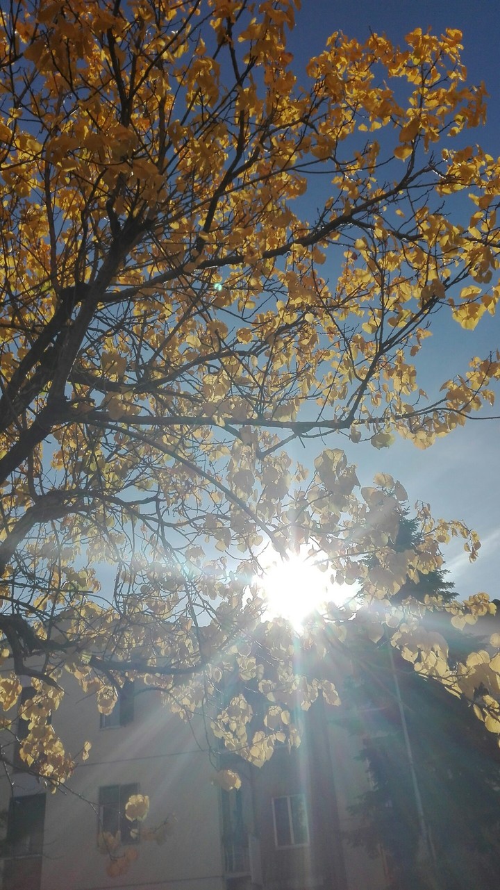 sun